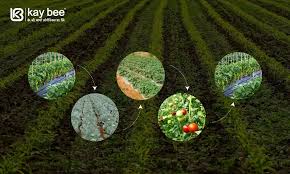 Provide a descriptive text for the image, which will be used if the image cannot be loaded